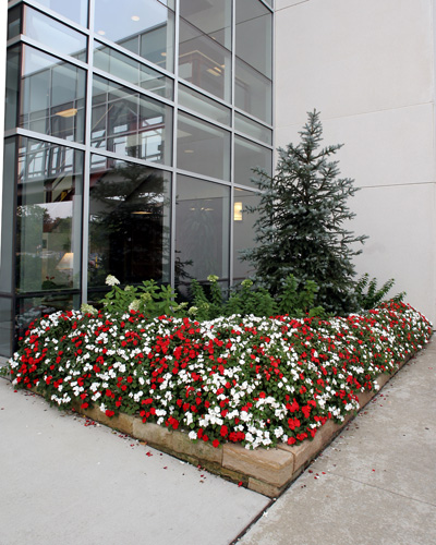 016_KFCrisafi(8x10)
