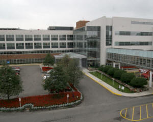 Commercial Landscape Maintenance & Management